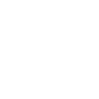 Top Universities